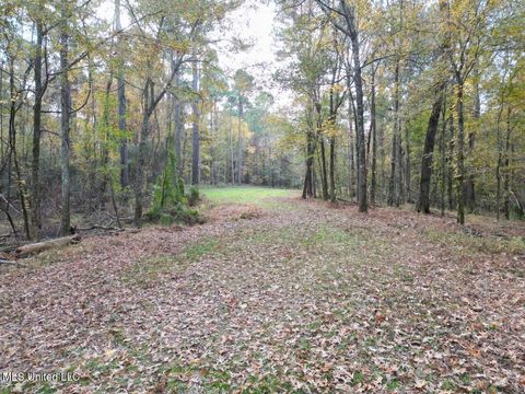 Vacant Land For Sale - 4 Old Hamburg Roxie Road<br/> Roxie, MS 39661