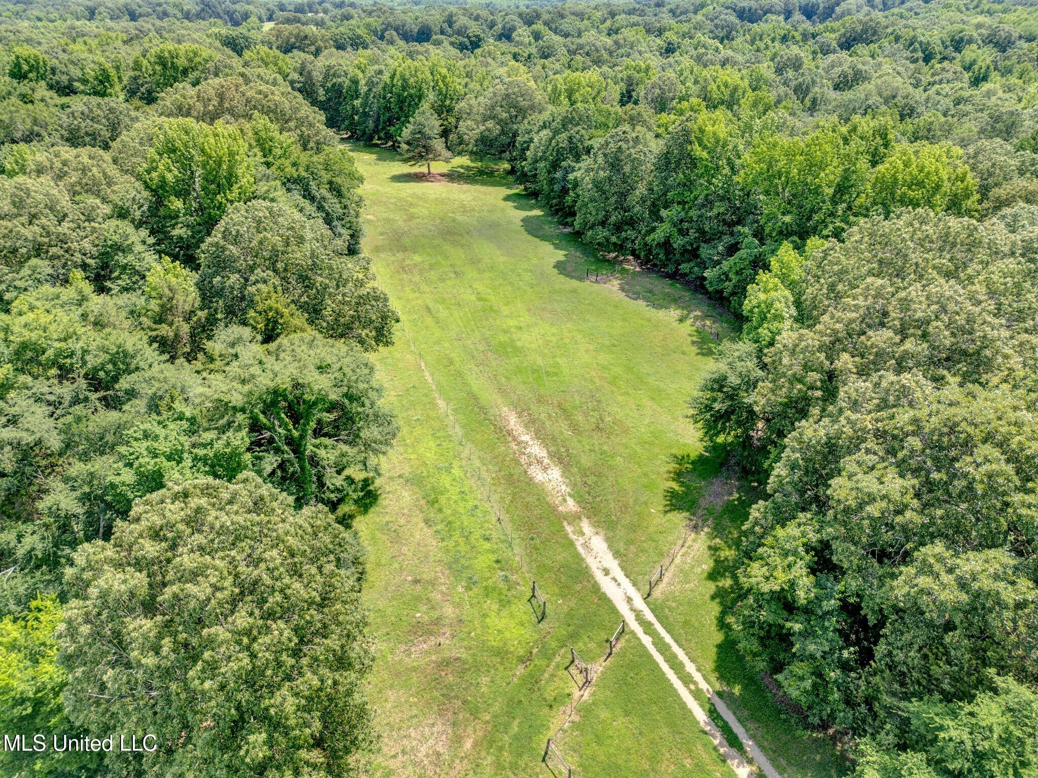 3260 Peyton Road, Coldwater, Mississippi image 23