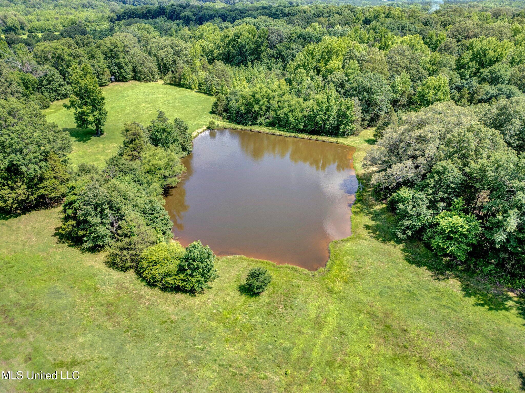 3260 Peyton Road, Coldwater, Mississippi image 22