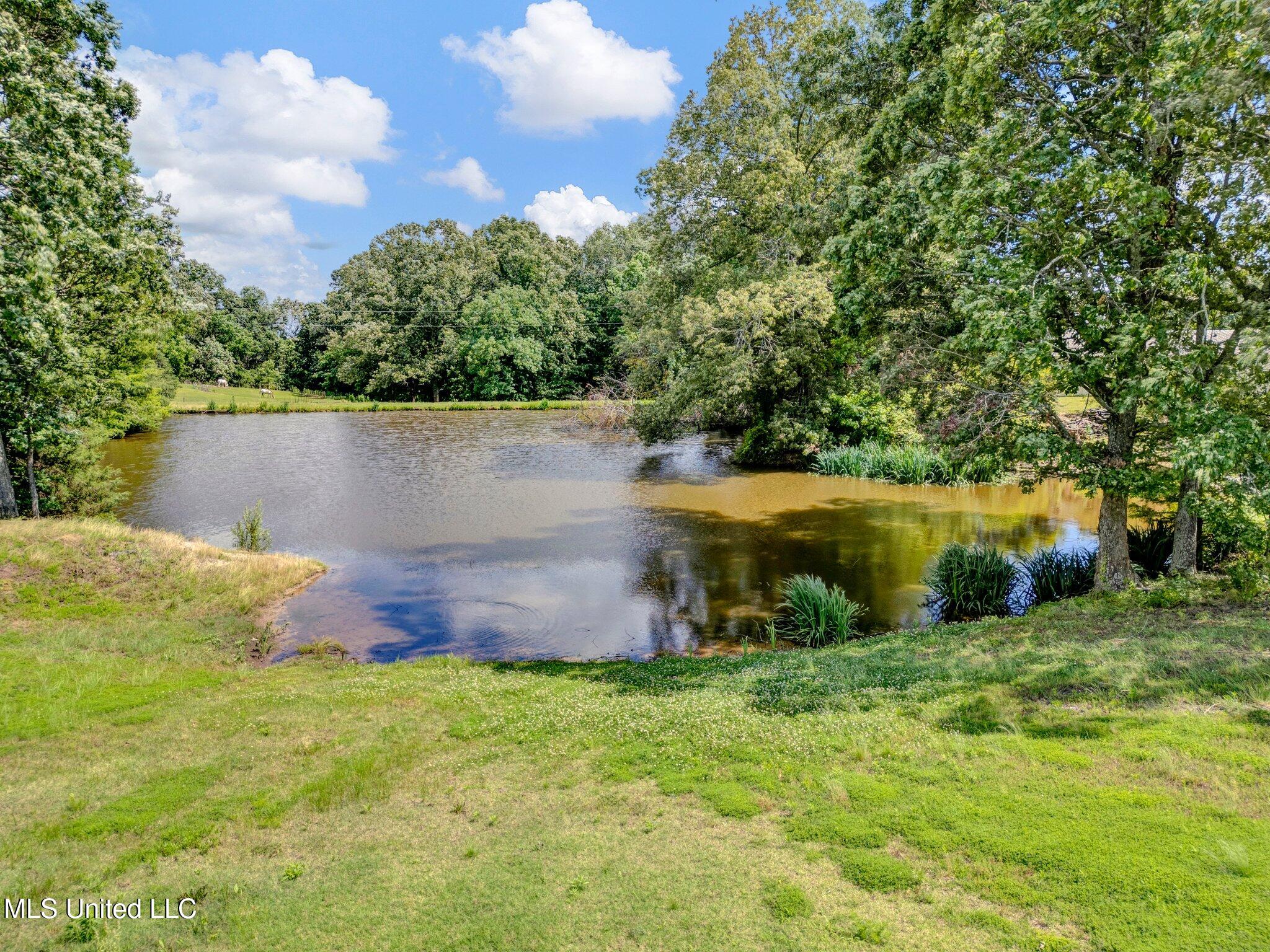 3260 Peyton Road, Coldwater, Mississippi image 33