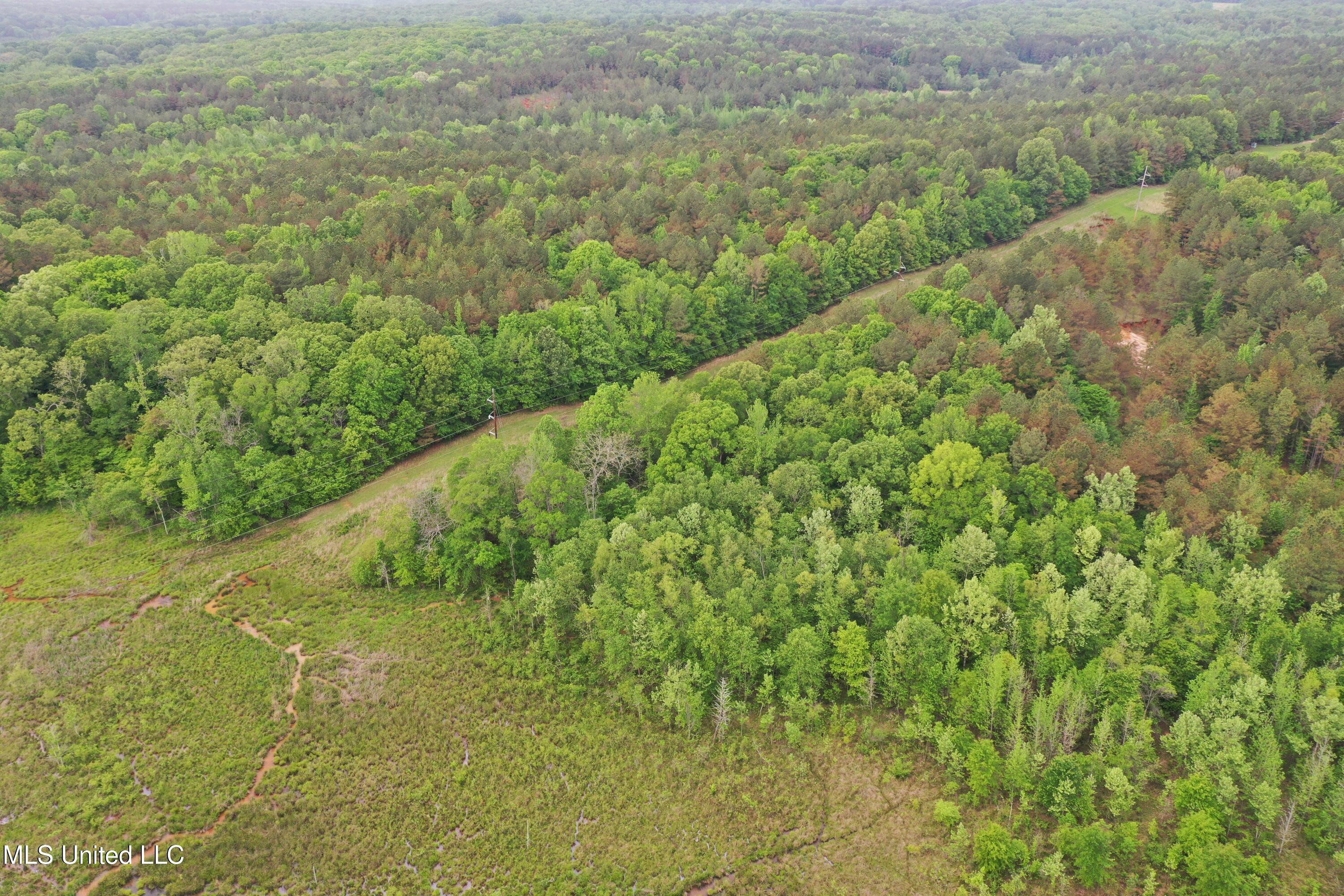 1023 Spillway Road, Sardis, Mississippi image 14