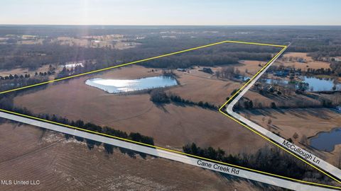 Vacant Land For Sale - Cane Creek Road<br/> Flora, MS 39071