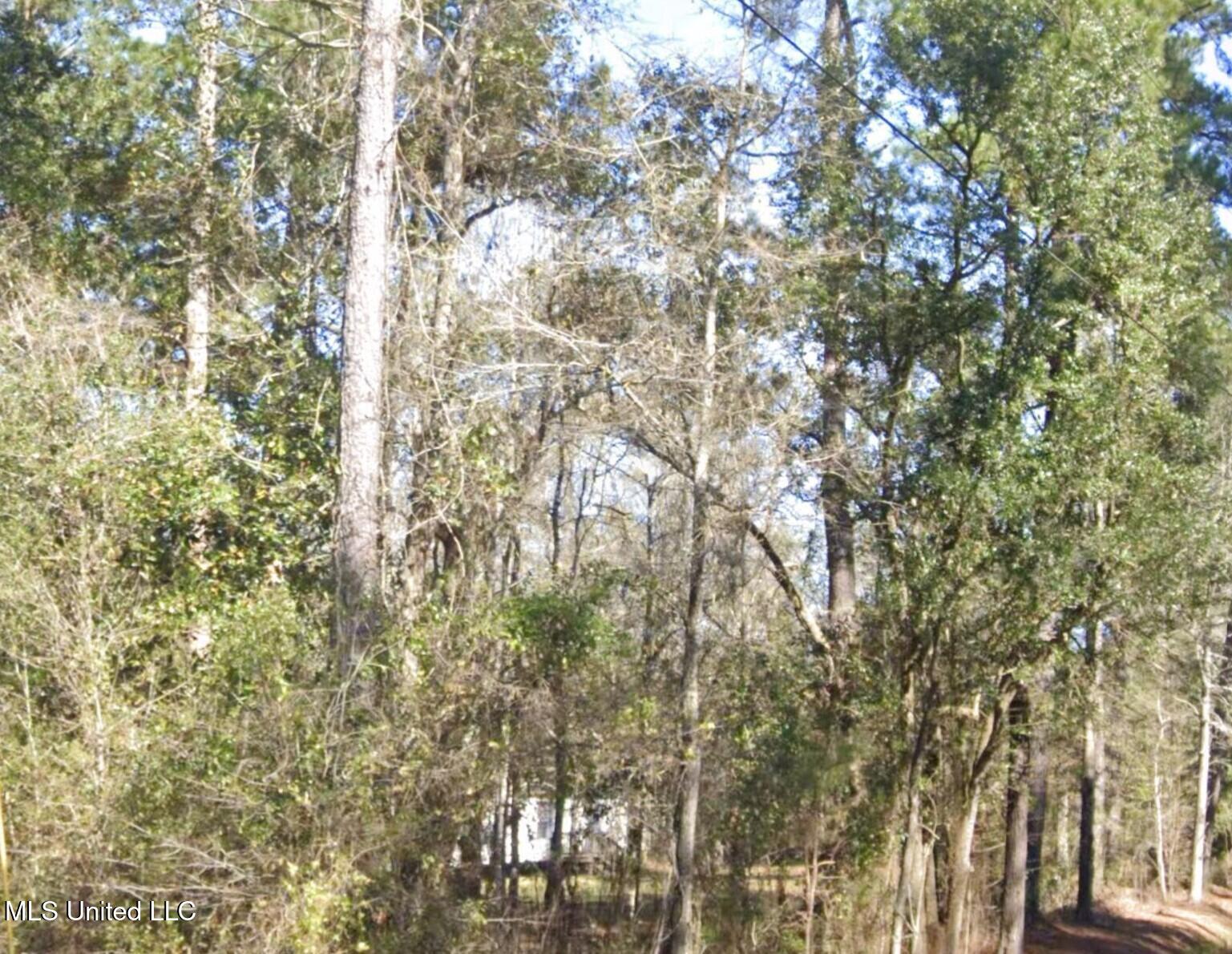 Whites Road, Pearlington, Mississippi image 3