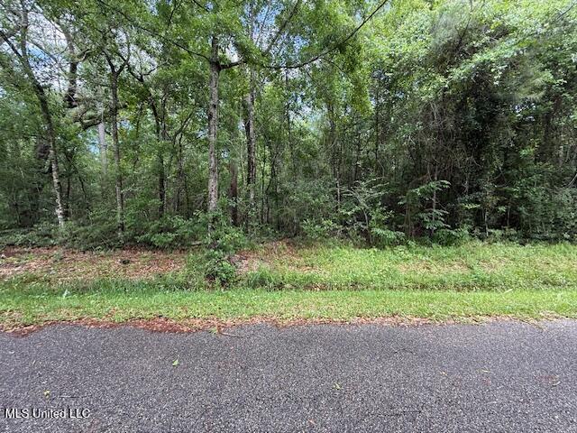 Whites Road, Pearlington, Mississippi image 4
