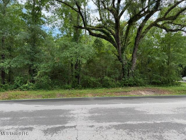 Whites Road, Pearlington, Mississippi image 6