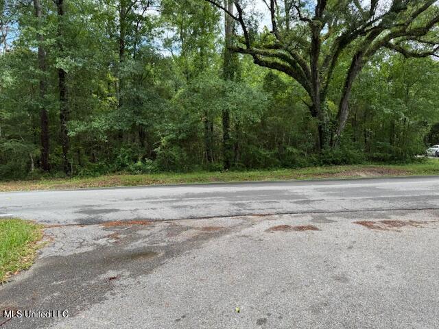 Whites Road, Pearlington, Mississippi image 9