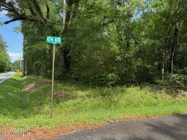 Whites Road, Pearlington, Mississippi image 10