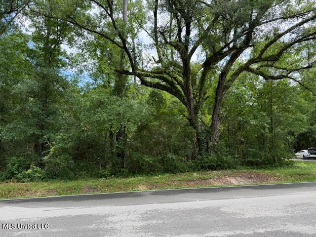 Whites Road, Pearlington, Mississippi image 7