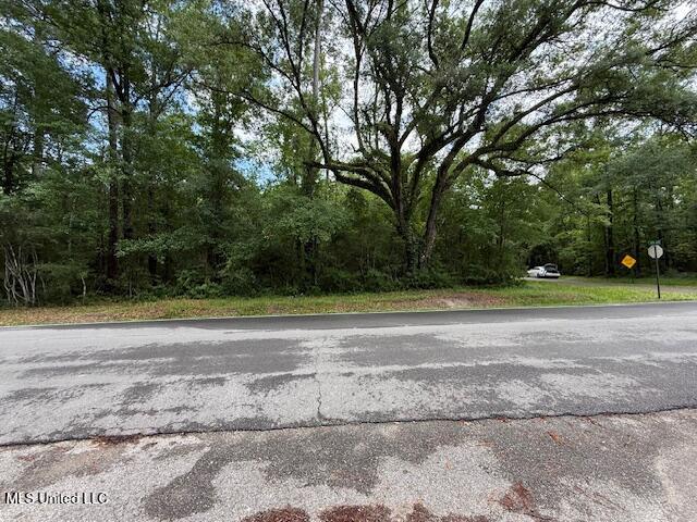 Whites Road, Pearlington, Mississippi image 5