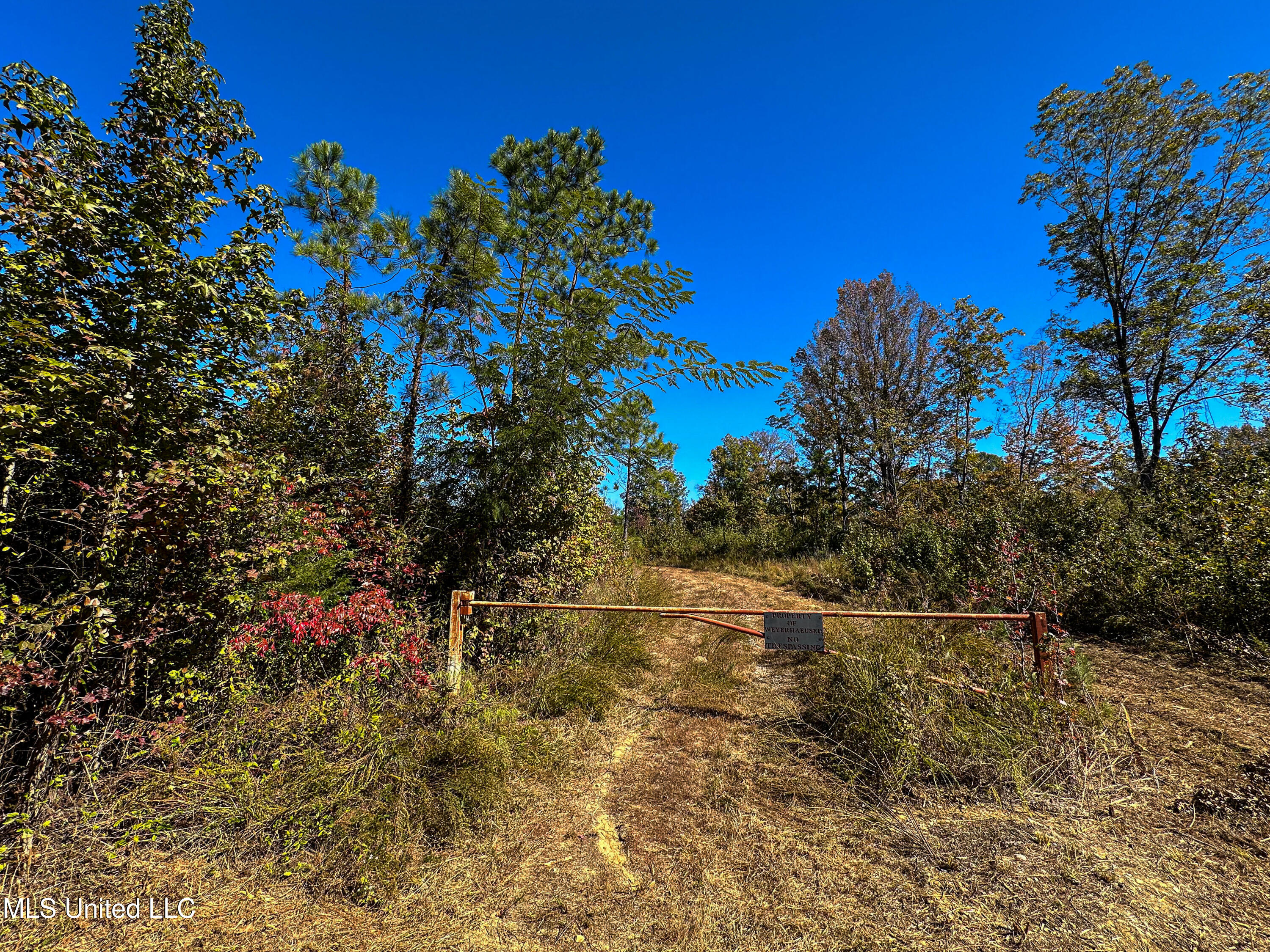 01 Highway 331, Paris, Mississippi image 43