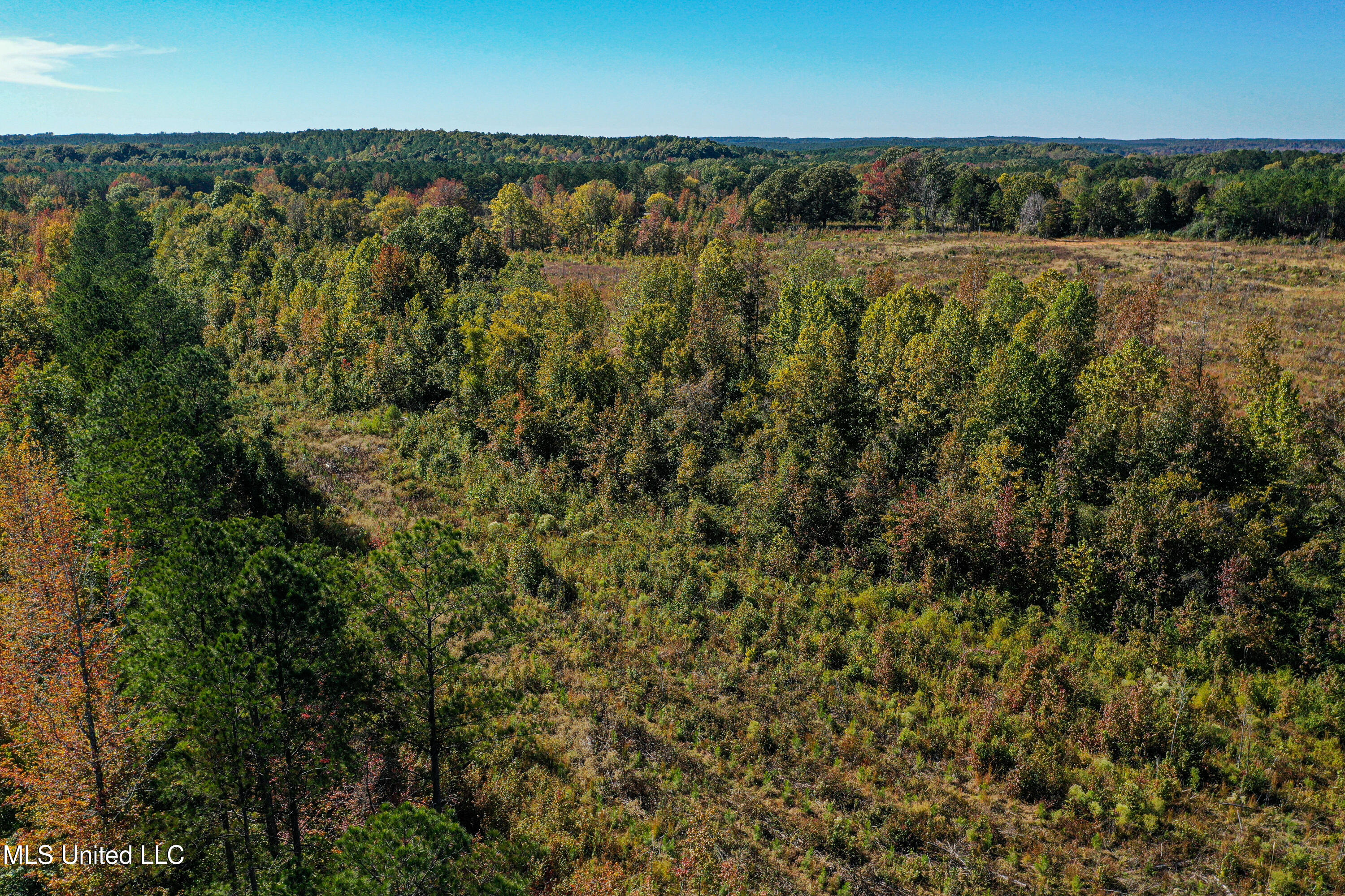 01 Highway 331, Paris, Mississippi image 9