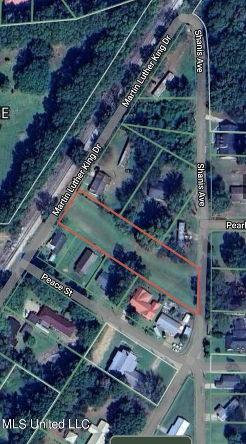 Vacant Land For Sale - 406 King Drive<br/> Pickens, MS 39146