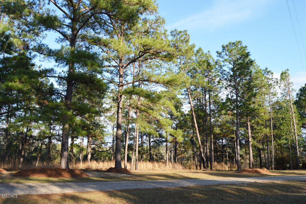 Whispering Pines Road, Perkinston, Mississippi image 12