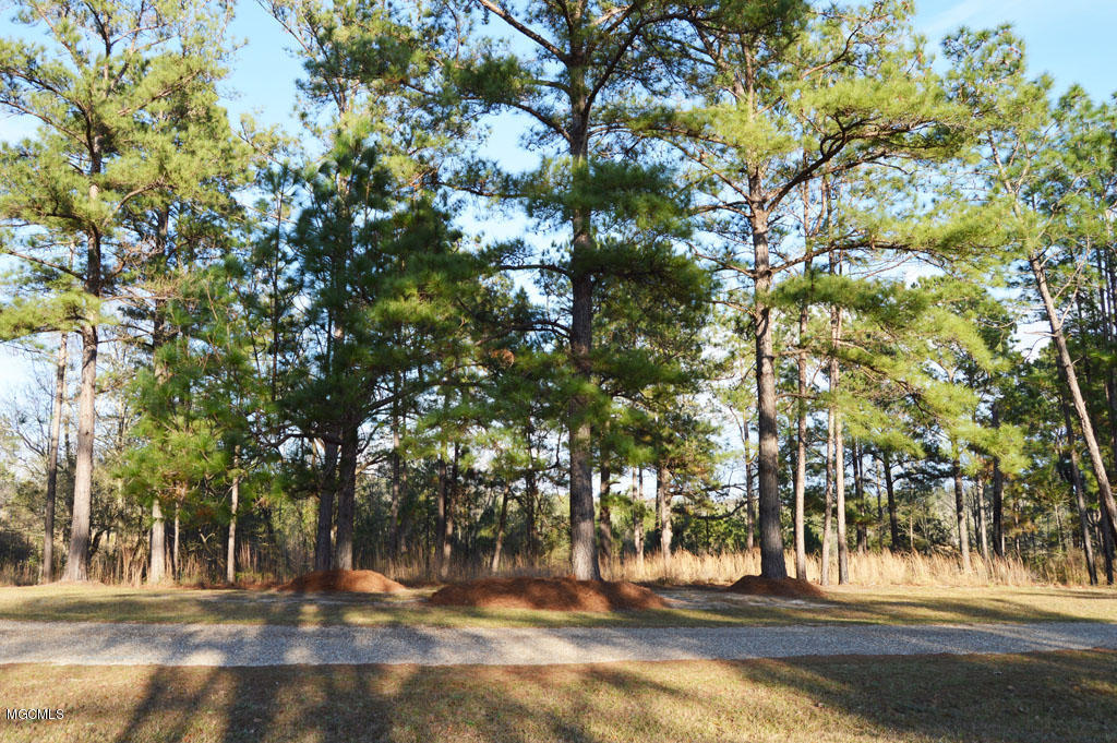 Whispering Pines Road, Perkinston, Mississippi image 13