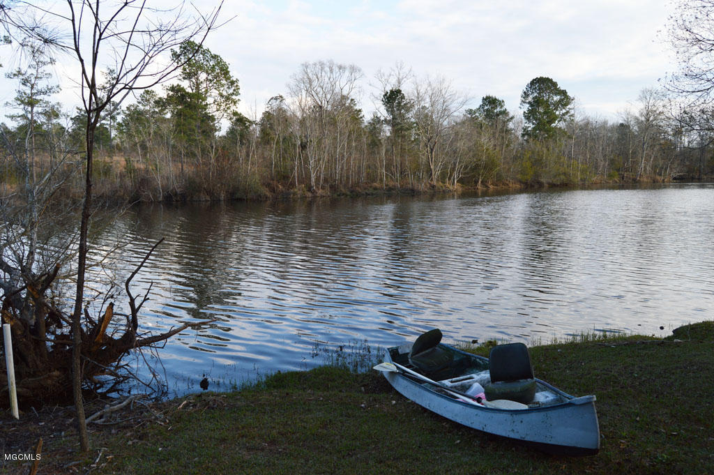 Whispering Pines Road, Perkinston, Mississippi image 2