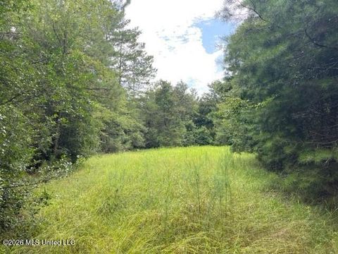 Vacant Land For Sale - Highway 439<br/> Franklinton, LA 70438