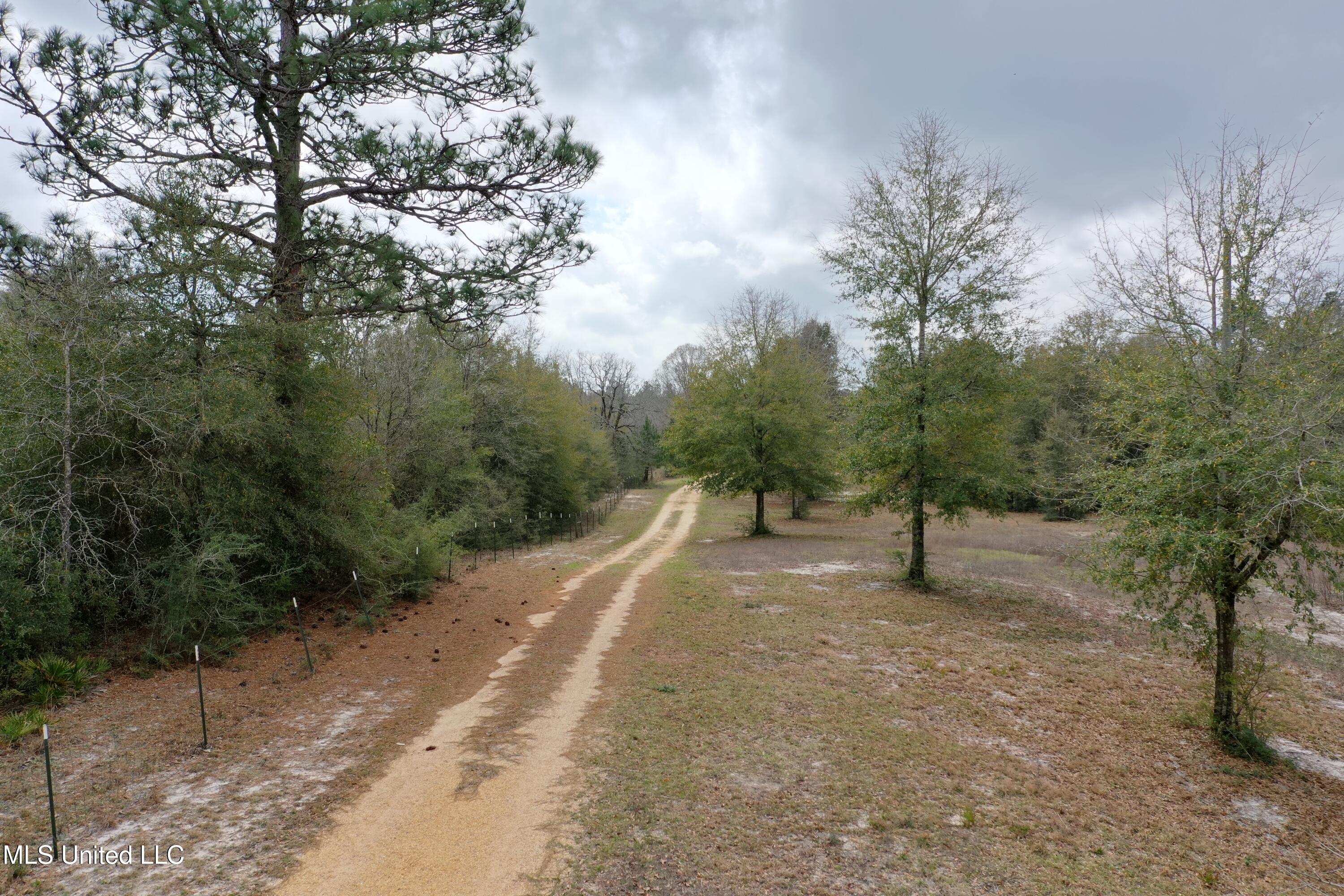 00 Vl Ponderosa Road, Wiggins, Mississippi image 3