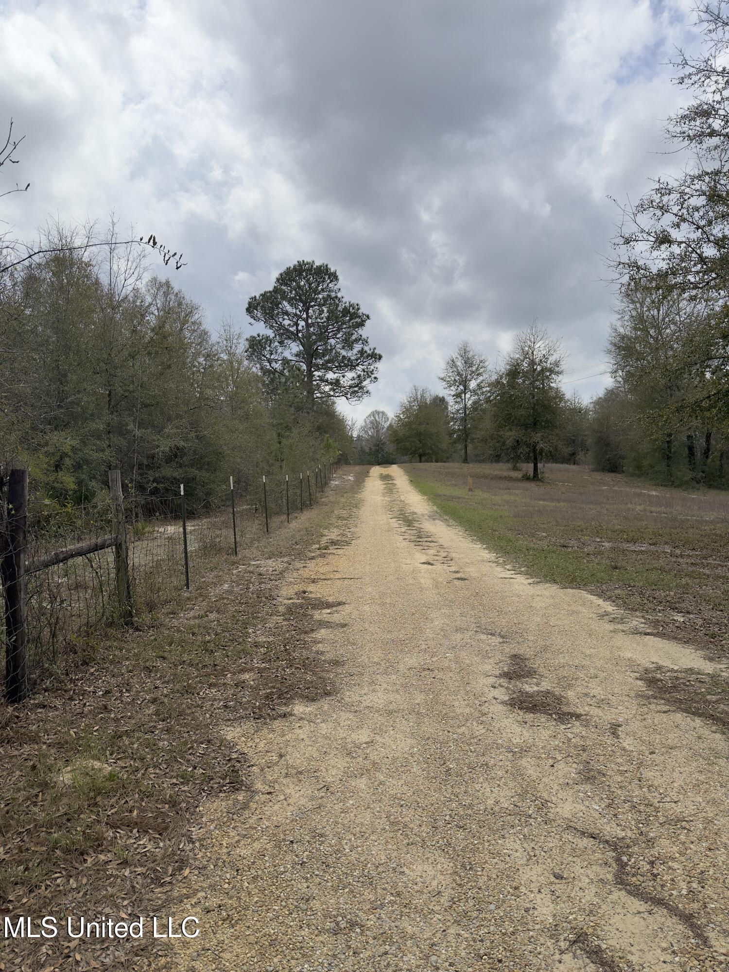 00 Vl Ponderosa Road, Wiggins, Mississippi image 18