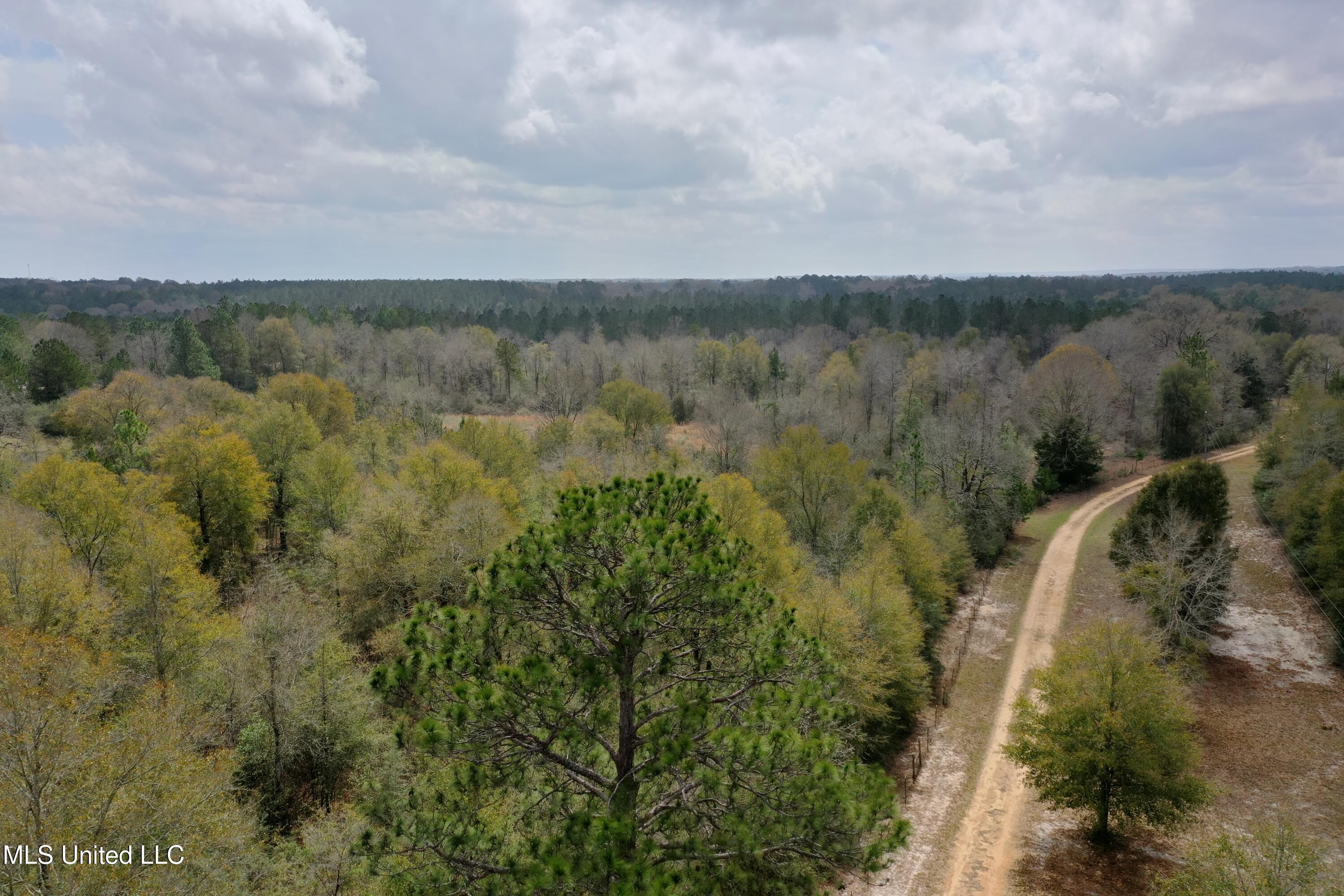 00 Vl Ponderosa Road, Wiggins, Mississippi image 2