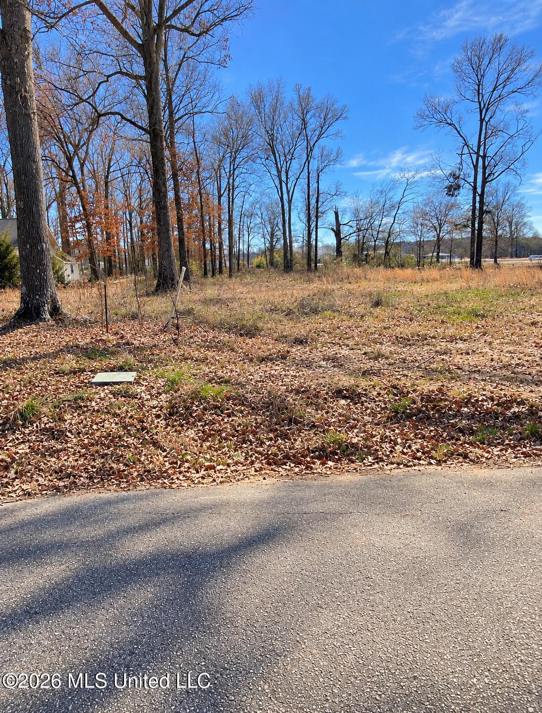 Nash Drive