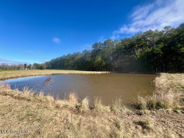 SW Dalton Lane, Smithdale, Mississippi image 14