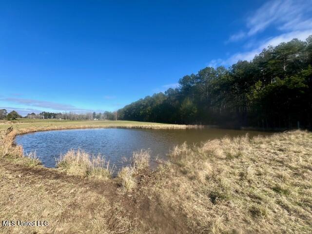 SW Dalton Lane, Smithdale, Mississippi image 18