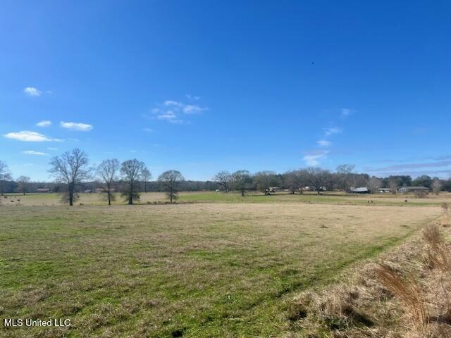 SW Dalton Lane, Smithdale, Mississippi image 16