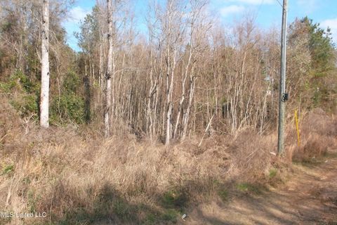 Vacant Land For Sale - 3103 570<br/> Pike County, Summit, MS 39666