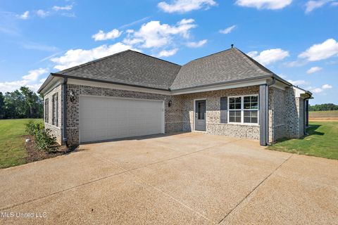 Homes For Sale - 6390 Jameson Cove<br/> Walls, MS 38680