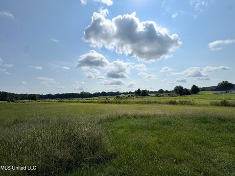 Vacant Land For Sale - R4 Old Hwy 16<br/> Benton, MS 39039
