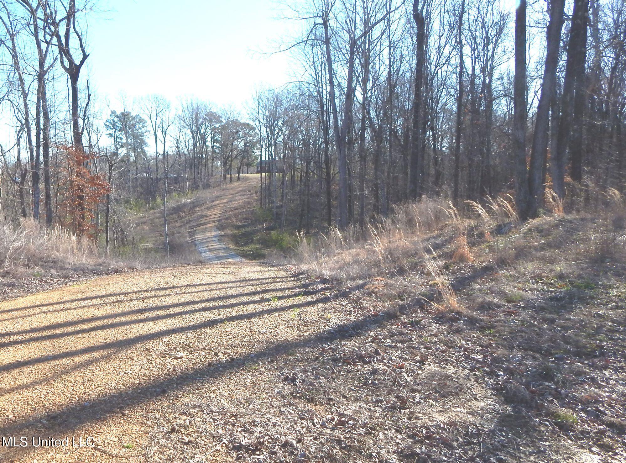 4577 Bluff Road, Hernando, Mississippi image 40