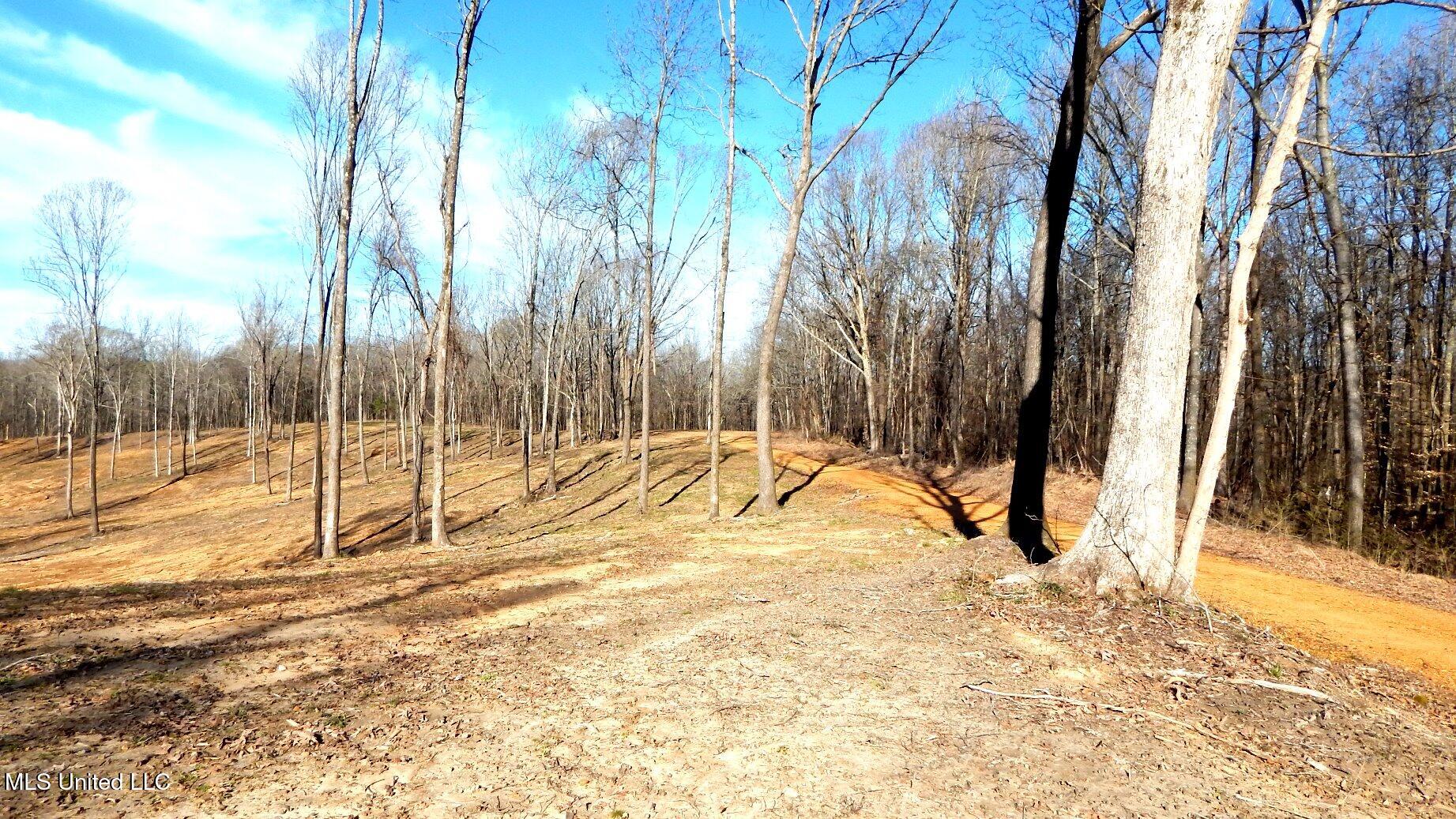 4577 Bluff Road, Hernando, Mississippi image 26