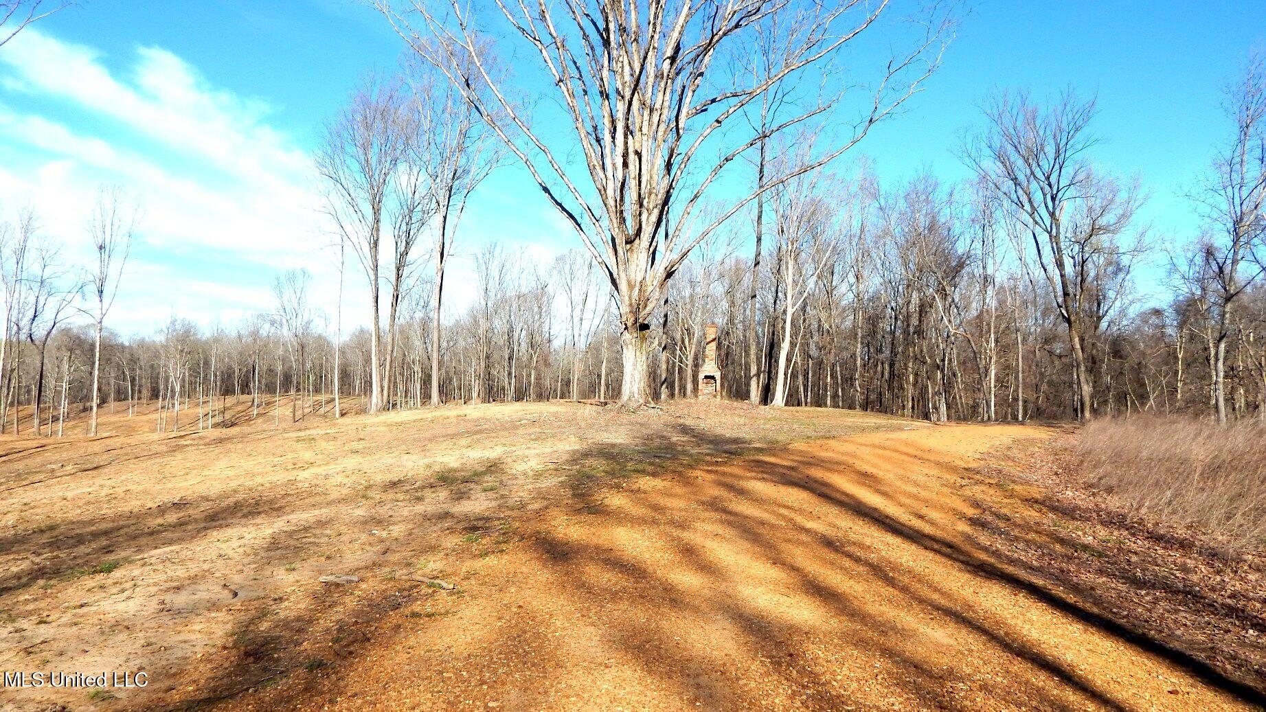 4577 Bluff Road, Hernando, Mississippi image 18