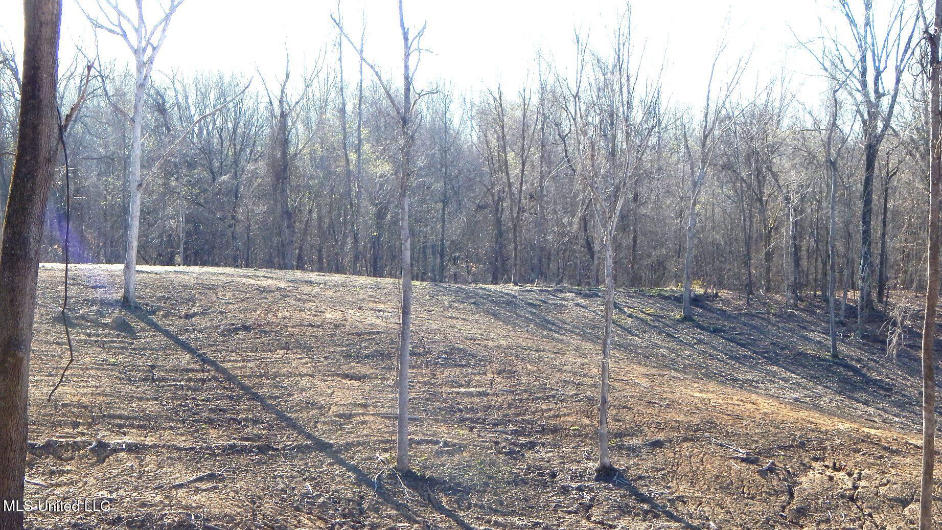 4577 Bluff Road, Hernando, Mississippi image 14