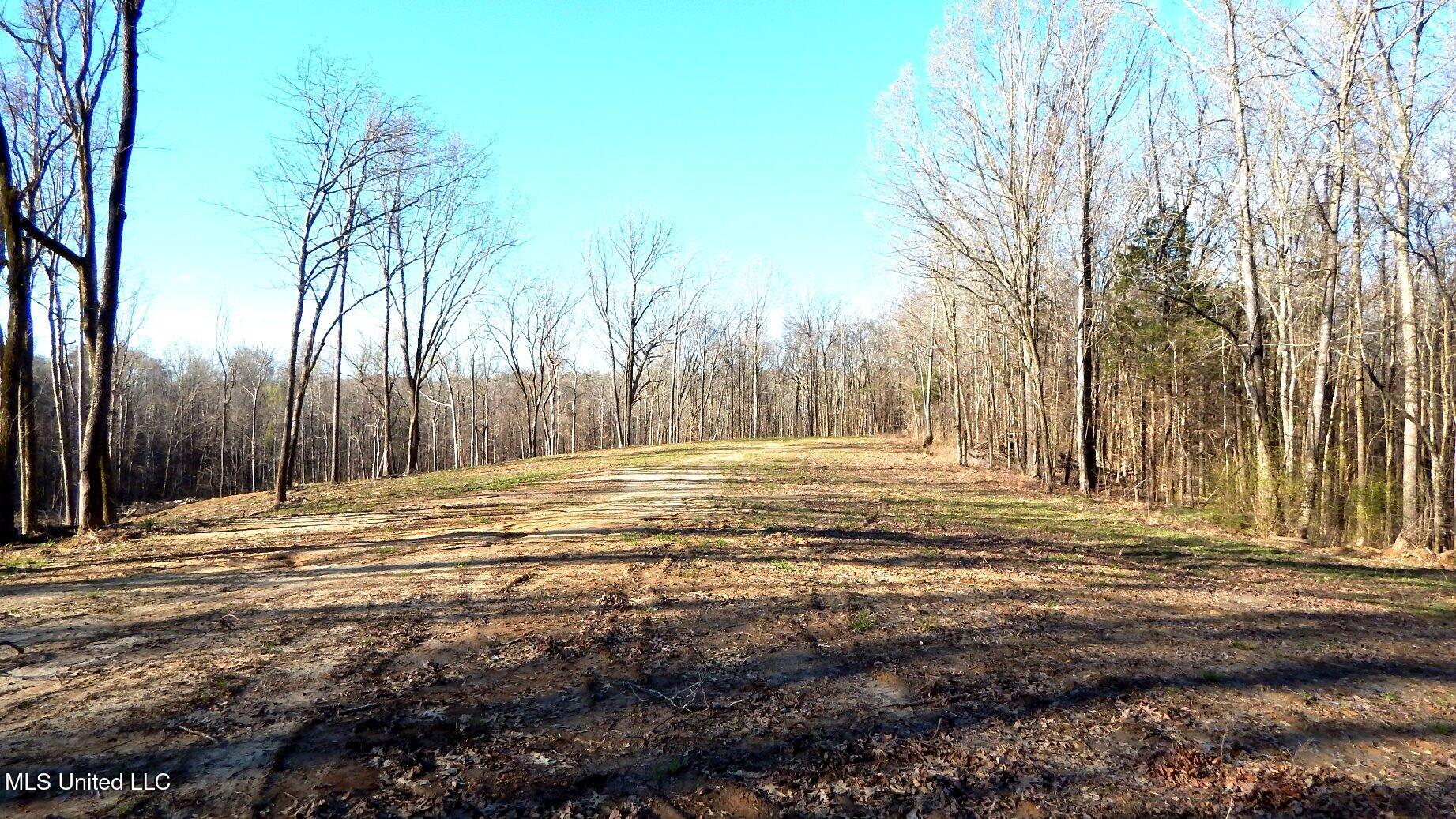 4577 Bluff Road, Hernando, Mississippi image 10