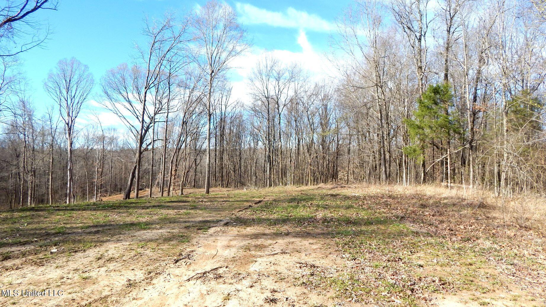 4577 Bluff Road, Hernando, Mississippi image 12