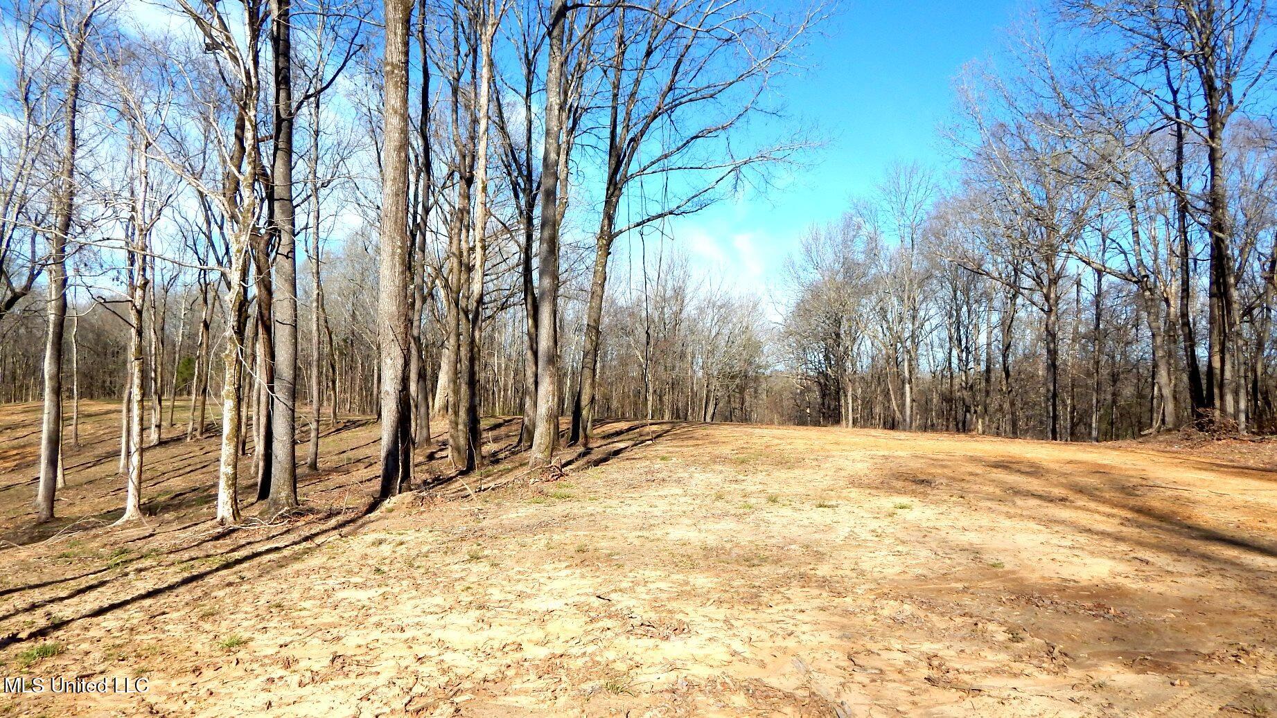 4577 Bluff Road, Hernando, Mississippi image 28