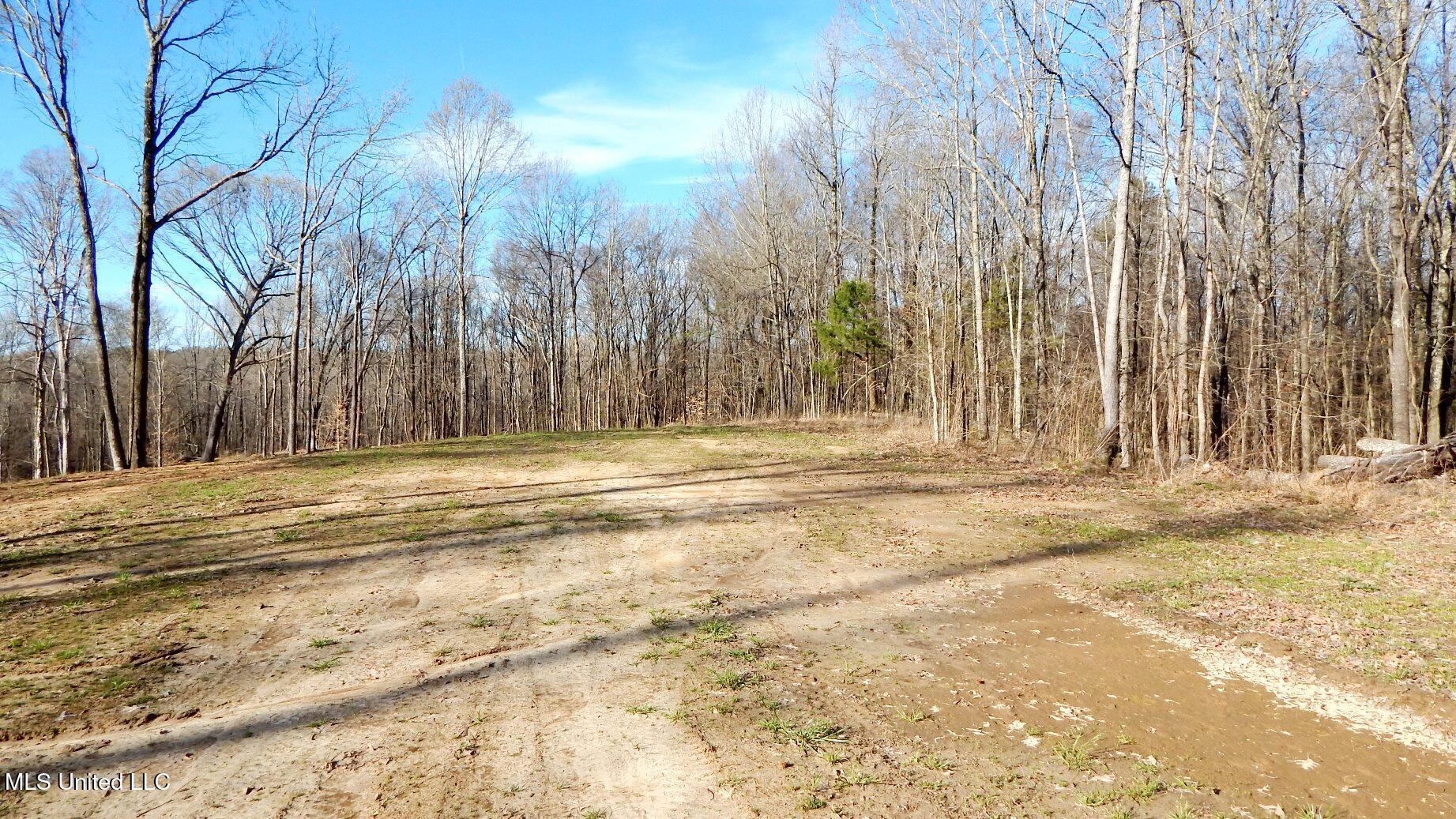 4577 Bluff Road, Hernando, Mississippi image 15