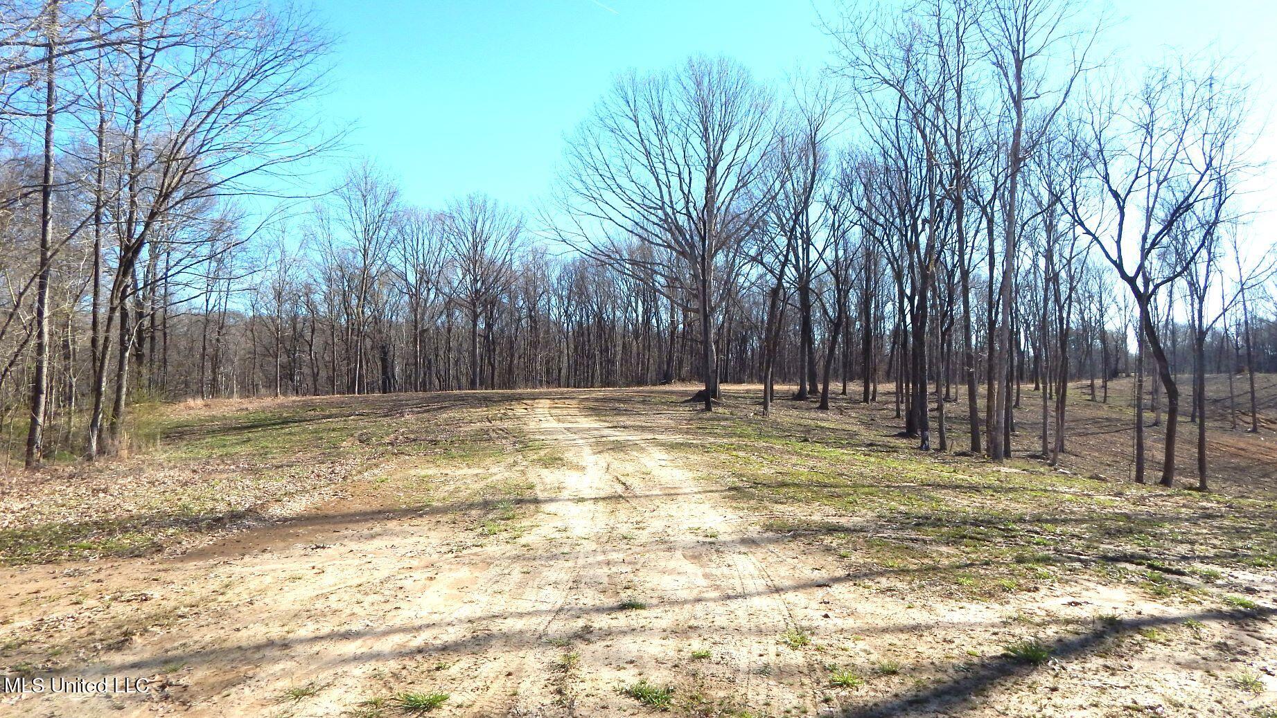 4577 Bluff Road, Hernando, Mississippi image 3