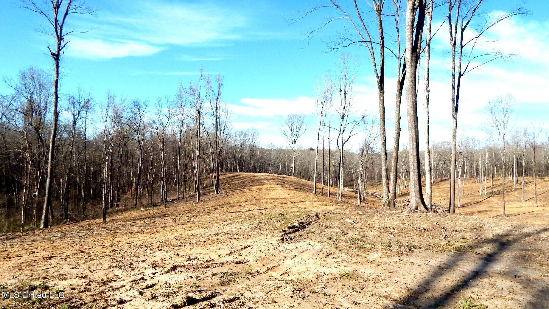 4577 Bluff Road, Hernando, Mississippi image 19