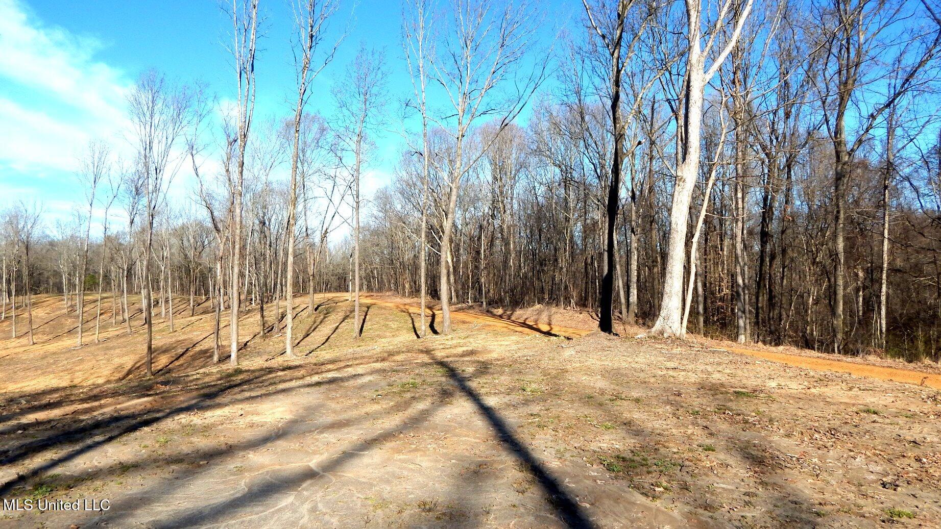 4577 Bluff Road, Hernando, Mississippi image 21