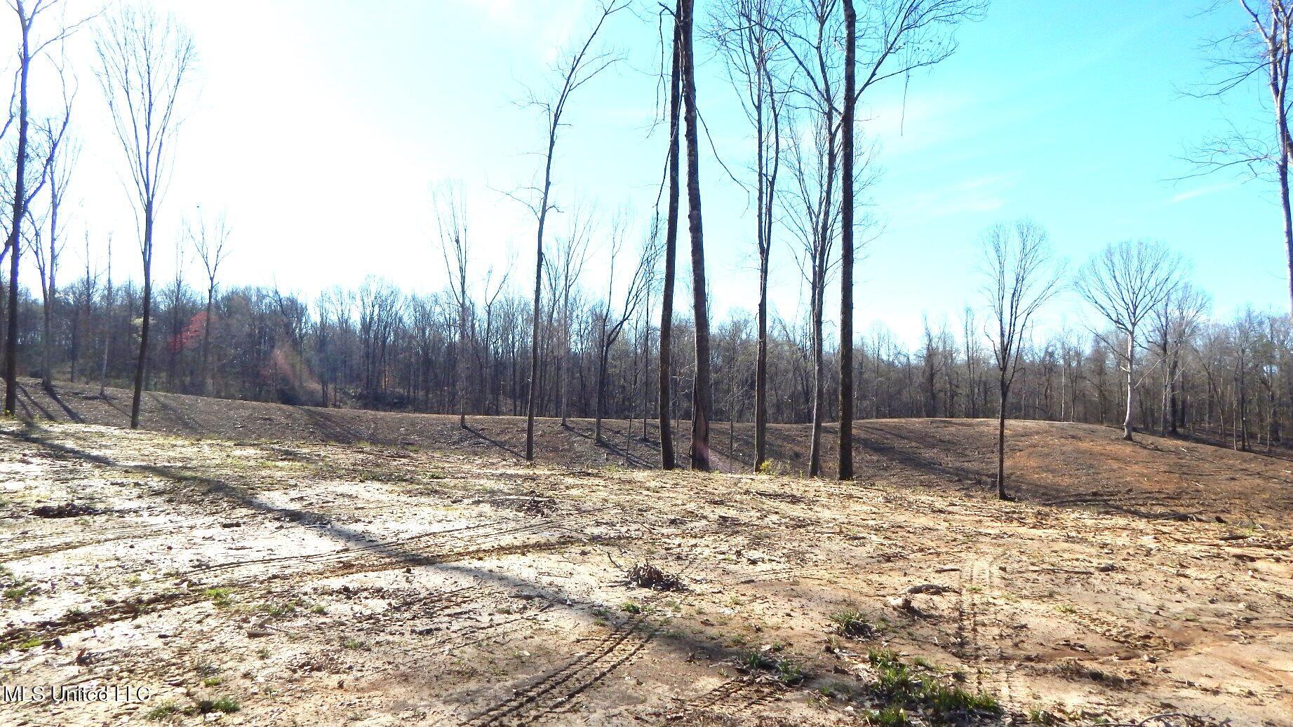 4577 Bluff Road, Hernando, Mississippi image 44