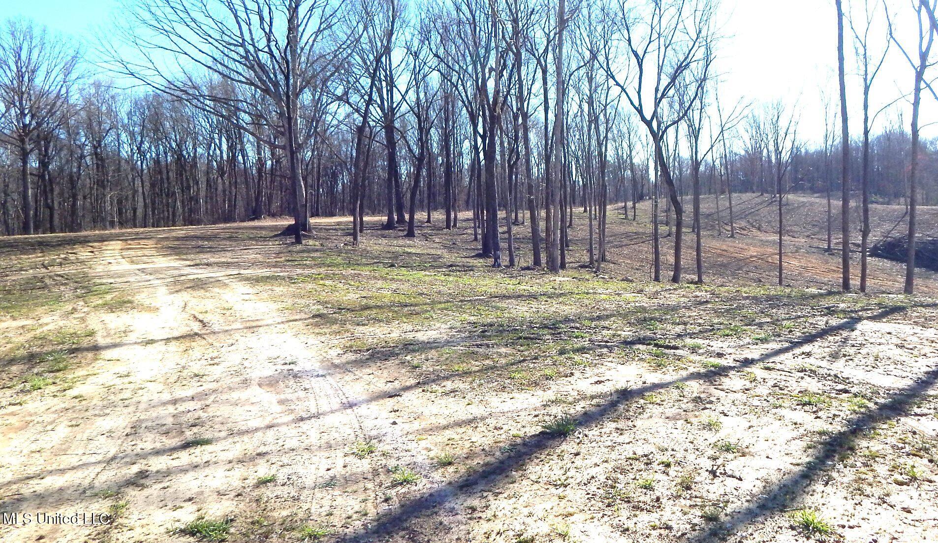 4577 Bluff Road, Hernando, Mississippi image 49