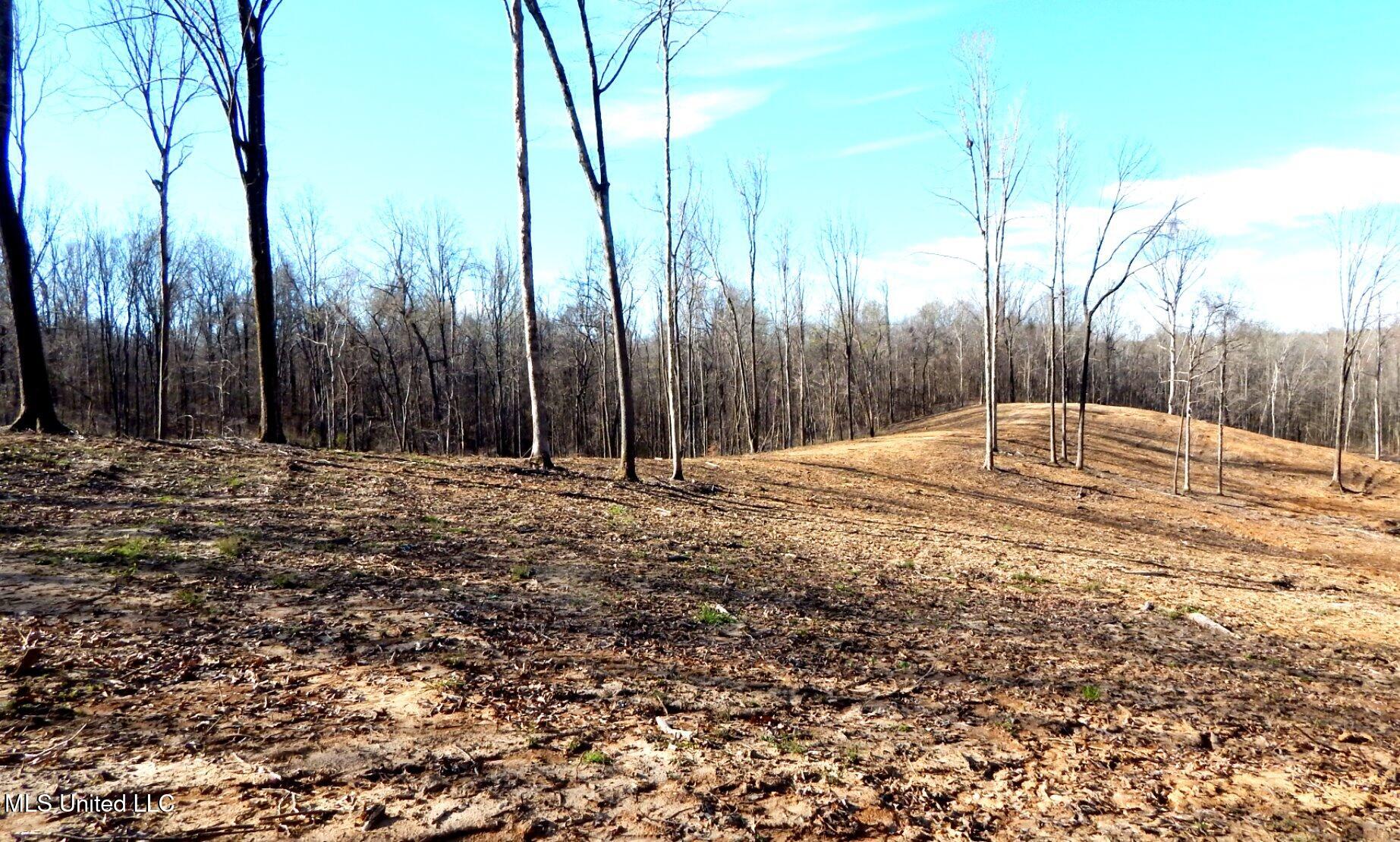 4577 Bluff Road, Hernando, Mississippi image 25