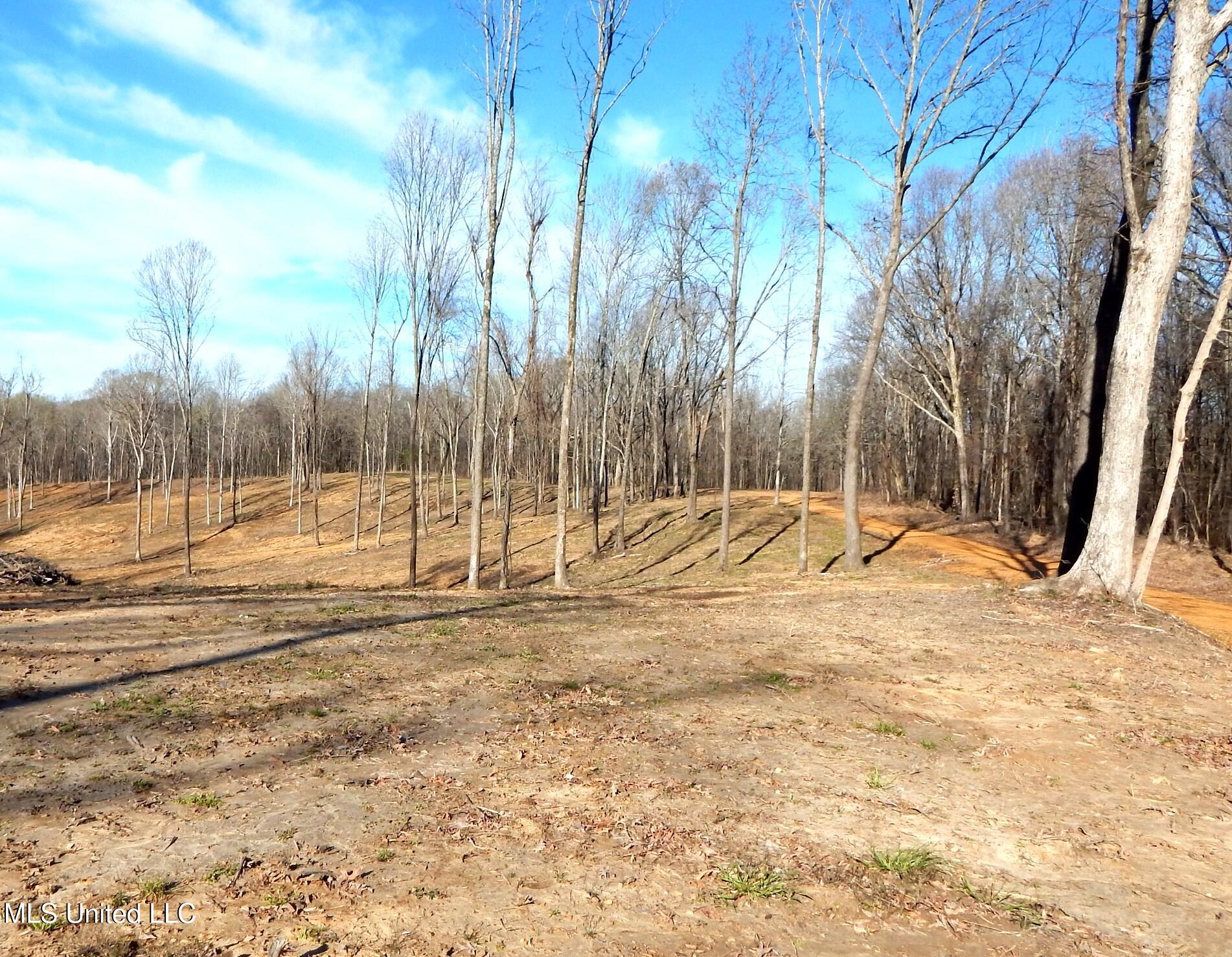 4577 Bluff Road, Hernando, Mississippi image 24