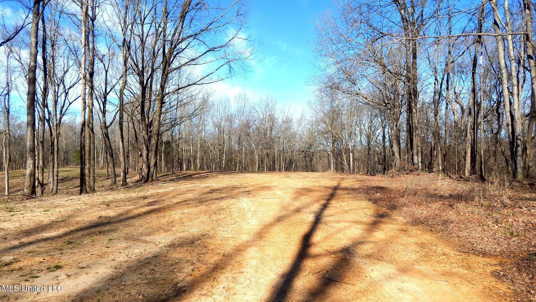 4577 Bluff Road, Hernando, Mississippi image 30