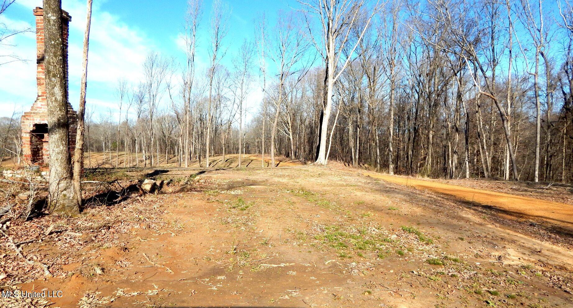 4577 Bluff Road, Hernando, Mississippi image 22