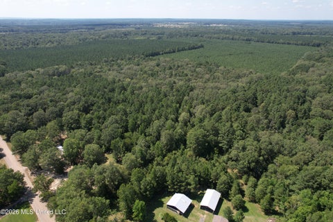 Vacant Land For Sale - Holly Bush<br/> Rankin County, Pelahatchie, MS 39145