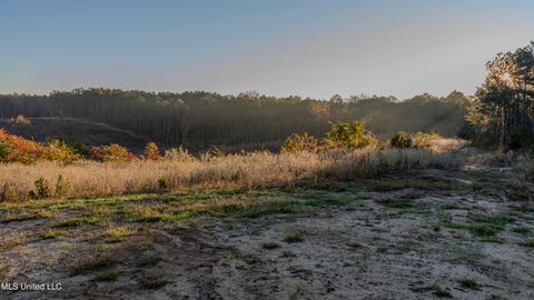 Vacant Land For Sale - Ms-440<br/> West, MS 39192