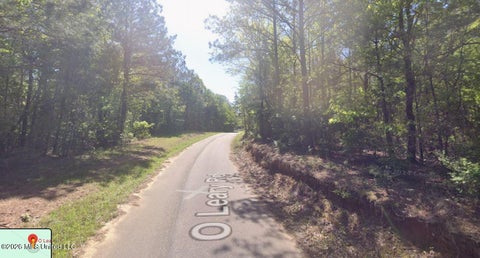 Vacant Land For Sale - O Leary Road<br/> Madison County, Camden, MS 39045